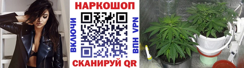Цена Черняховск OMG зеркало  Мефедрон  ГАШ  МАРИХУАНА  КОКАИН 