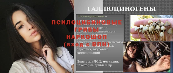 соль ск Бугульма