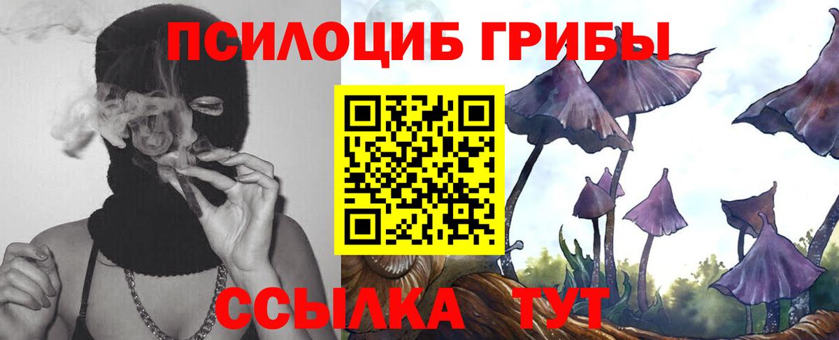 Псилоцибиновые грибы мицелий Черняховск